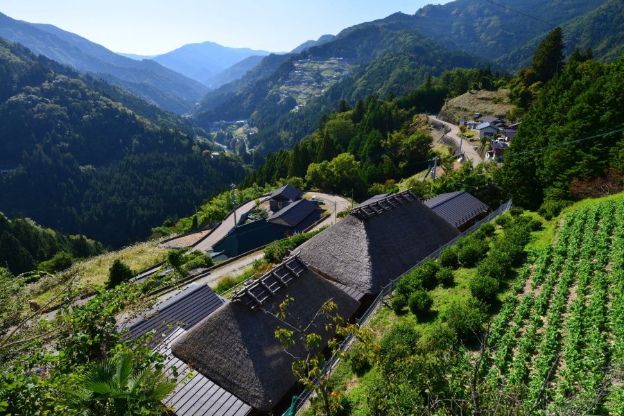 Ochiai Village What To See Do Tourism Shikoku