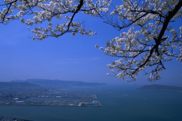 屋島（山上）