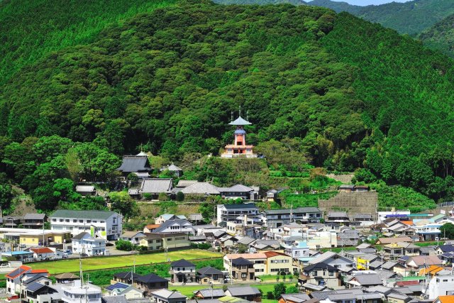 第23番札所 医王山 無量寿院 薬王寺