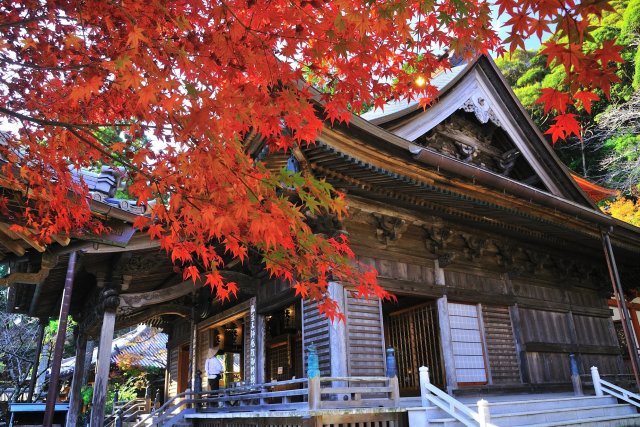 Temple Yakuoji