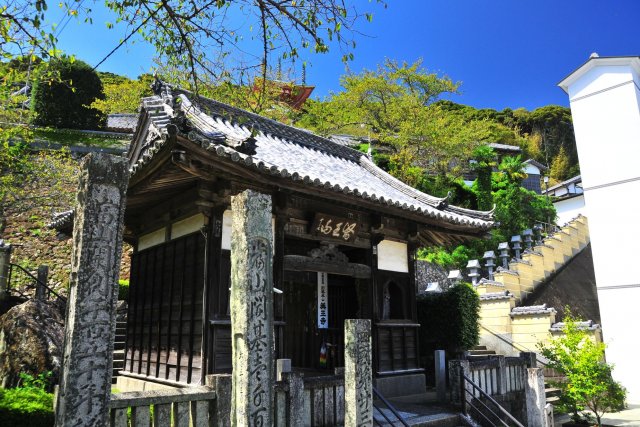 Temple 23, Yakuōji