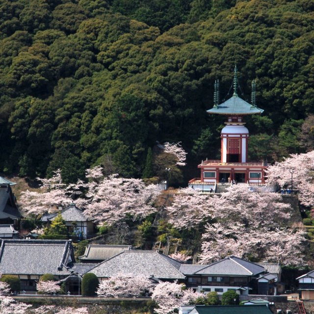 第二十三座 藥王寺