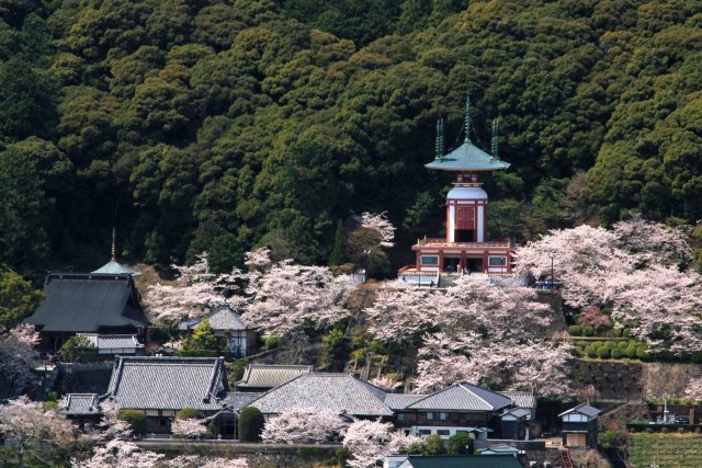 Temple 23, Yakuōji