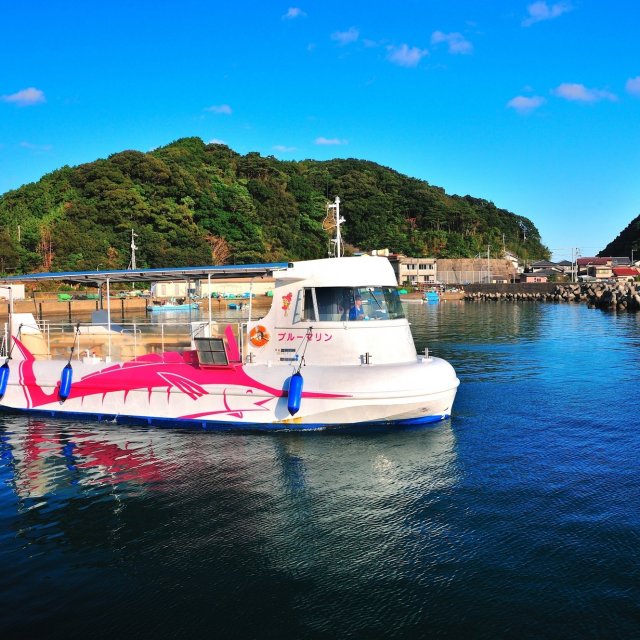 Takegashima Marine Park (The Blue Marine tourist boat)