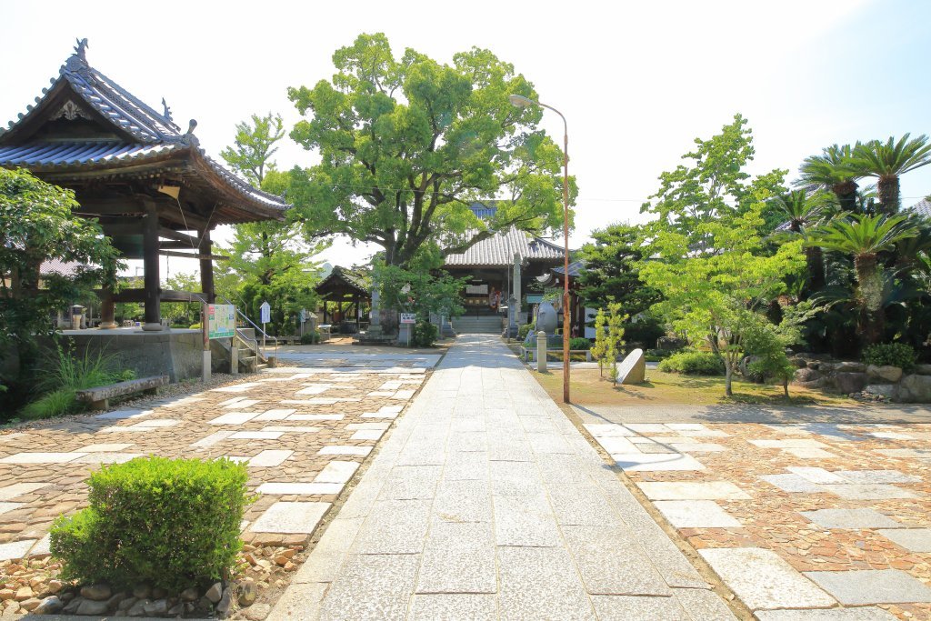 Amazon.co.jp: 幕府領千駄ヶ谷町古文書寺社関係明治33年 中宗