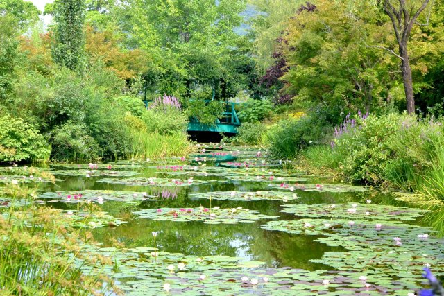 北川村「莫內庭園」馬摩丹