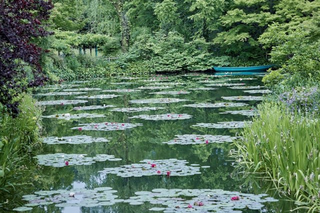 北川村“莫奈花园”马蒙丹