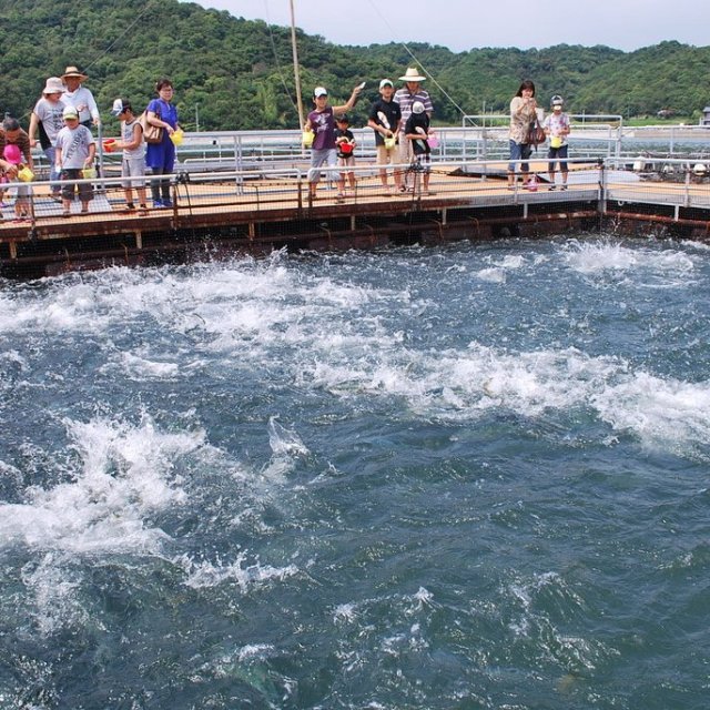 Marrericco, a museum for hands-on learning about the sea and fish