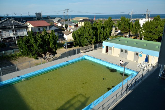 室戶廢校水族館