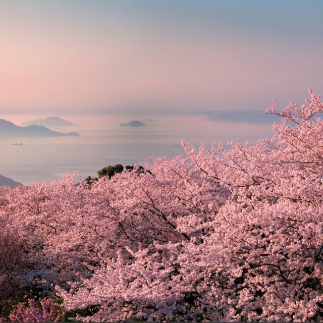 紫雲出山（Mt.Shiude）