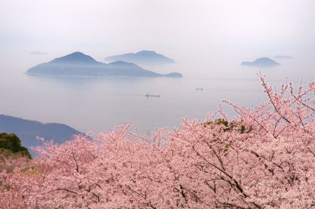 紫雲出山