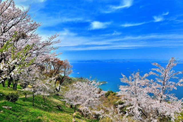 紫雲出山