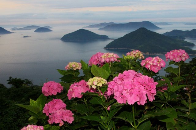 紫雲出山