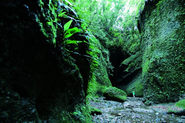 Ioki Cave