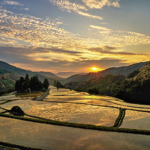 Kurakawa Rice Terraces