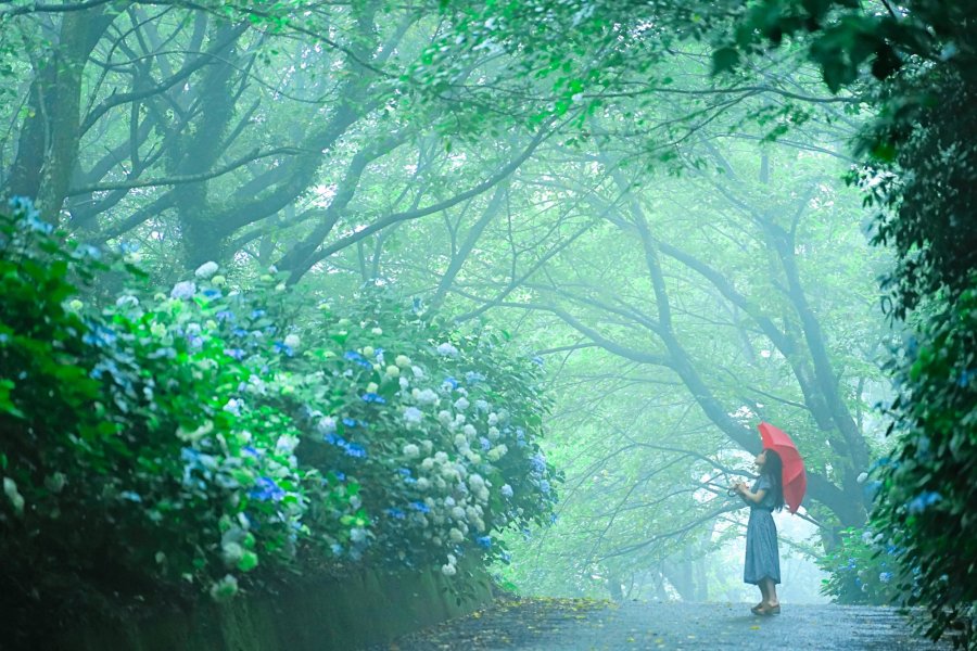 粟井神社 觀光 Tourism Shikoku