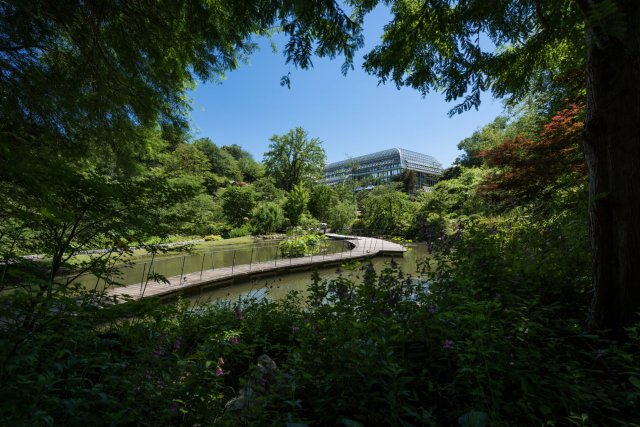 Kochi Prefectural Makino Botanical Garden