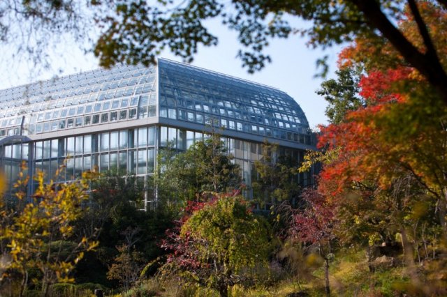 Kochi Prefectural Makino Botanical Garden