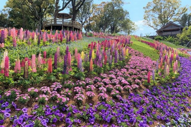 Kochi Prefectural Makino Botanical Garden