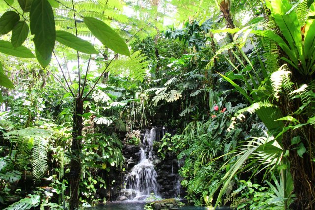 高知県立牧野植物園