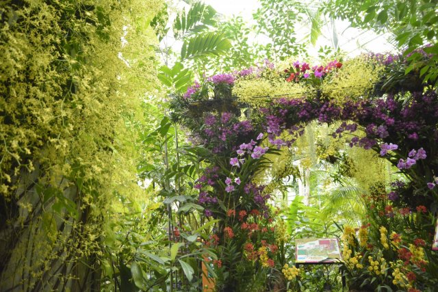 高知県立牧野植物園