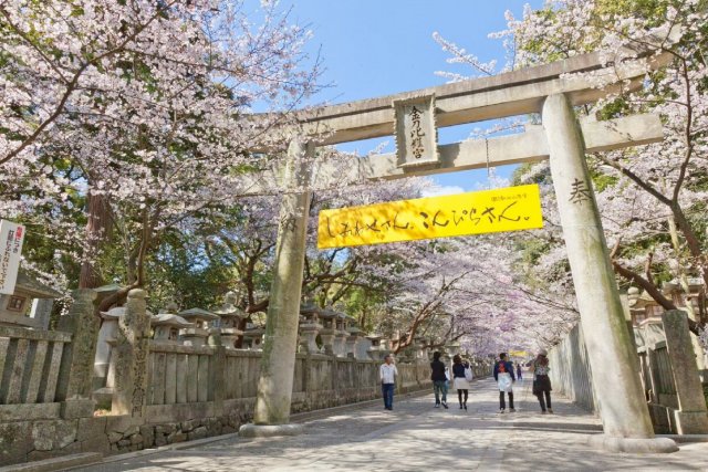 Kotohira-gu Shrine