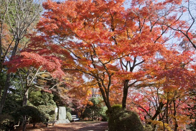 Kotohira-gu Shrine