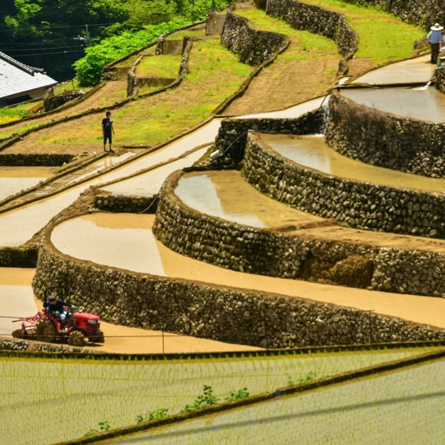 貝ノ川の棚田