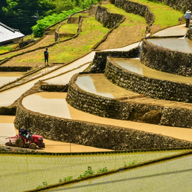 貝之川的梯田