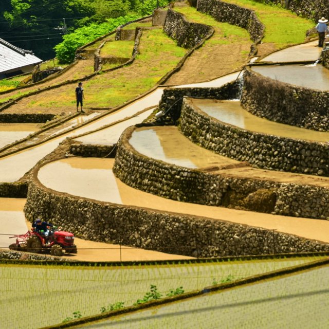 Kainokawa Rice Terraces