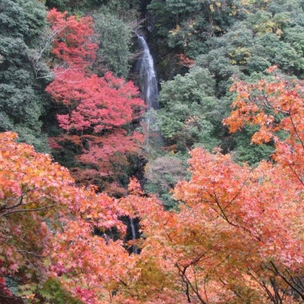 白滝滝まつり