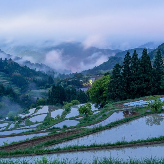 室戶岬 觀光 Tourism Shikoku