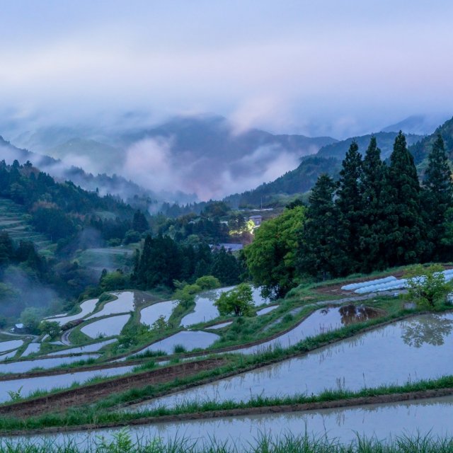 Yoshinobu Rice Terraces