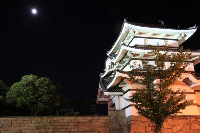 Les ruines du château de Takamatsu / Parc de Tamamo