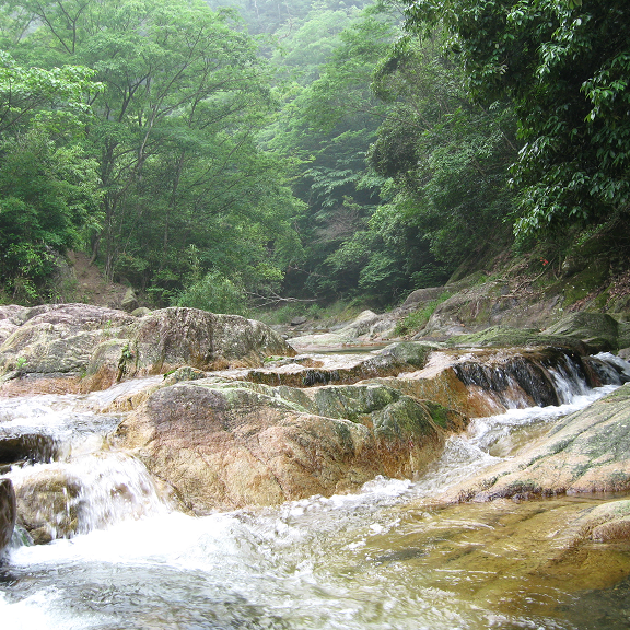 柏原渓谷