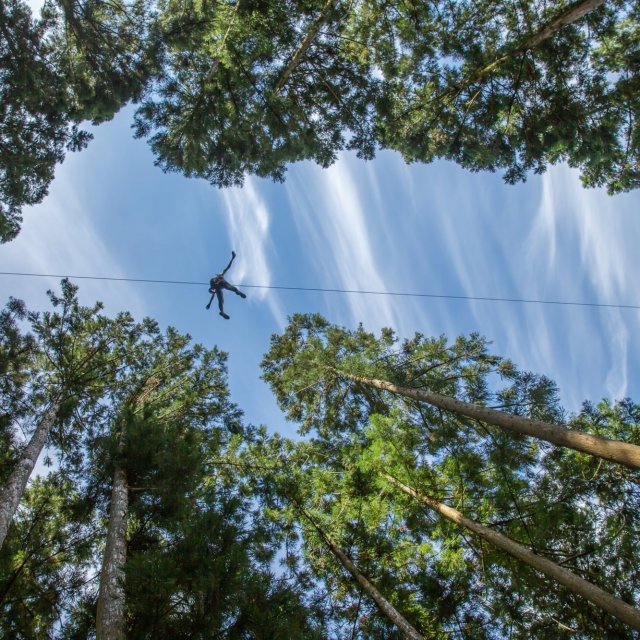 Forest Adventure冒險之森祖谷