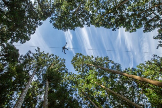 Forest Adventure冒險之森祖谷