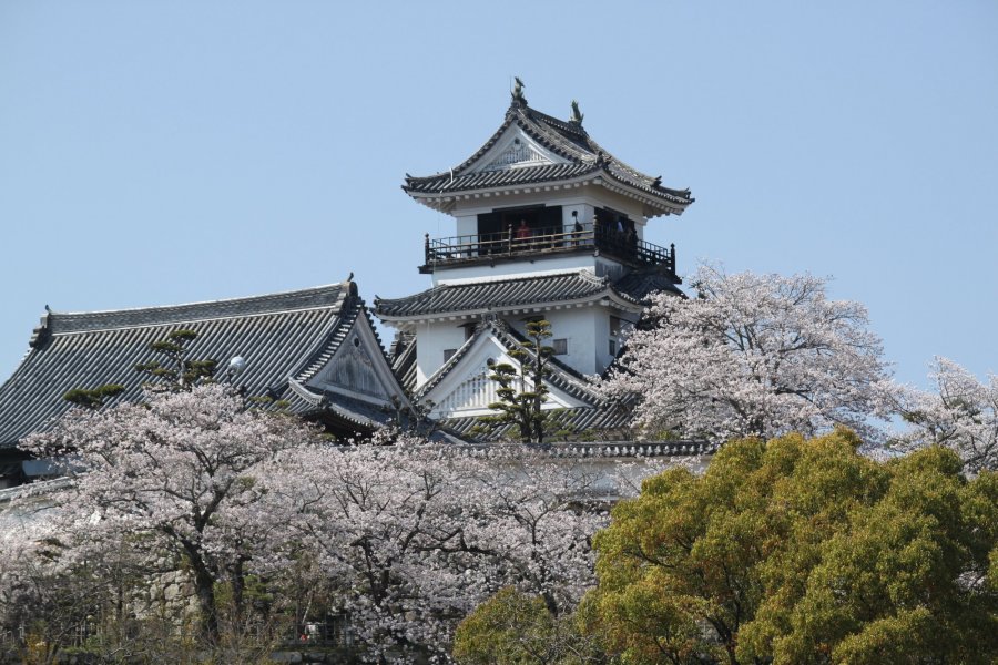 高知城 觀光 Tourism Shikoku