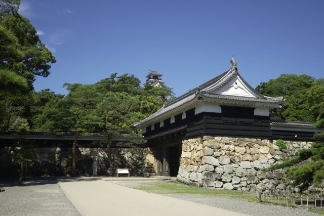 Kochi Castle