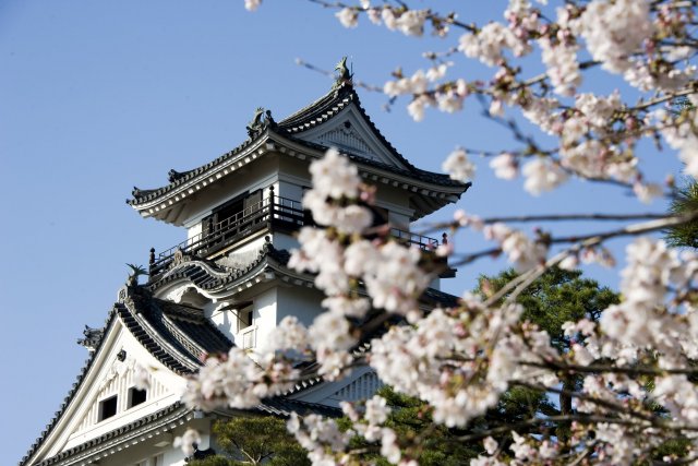 Kochi Castle