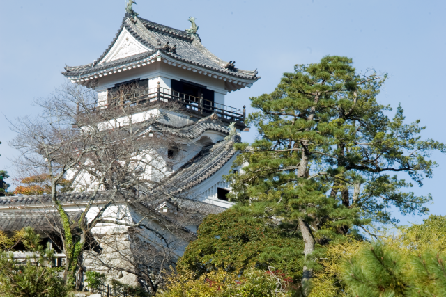 Kochi Castle