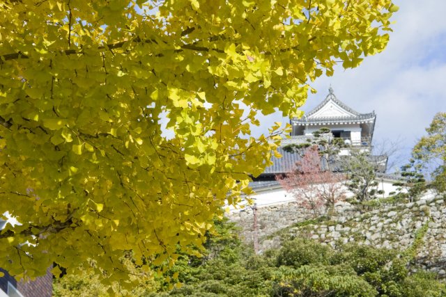 Kochi Castle