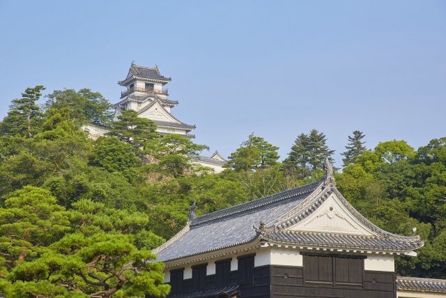 Kochi Castle