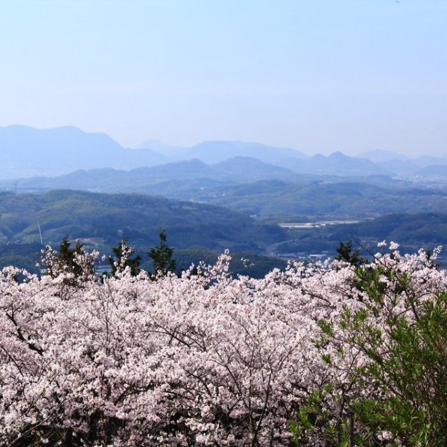 塔重山公園