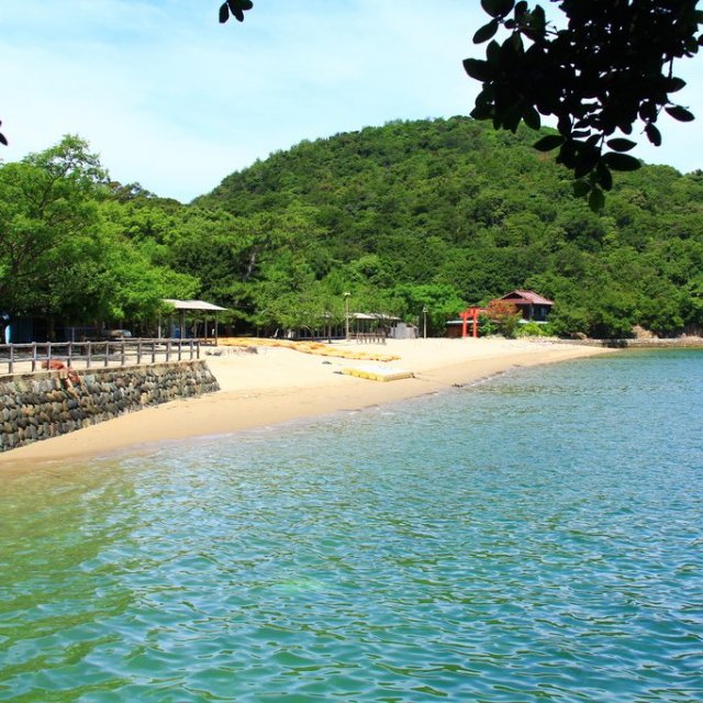 蔦島