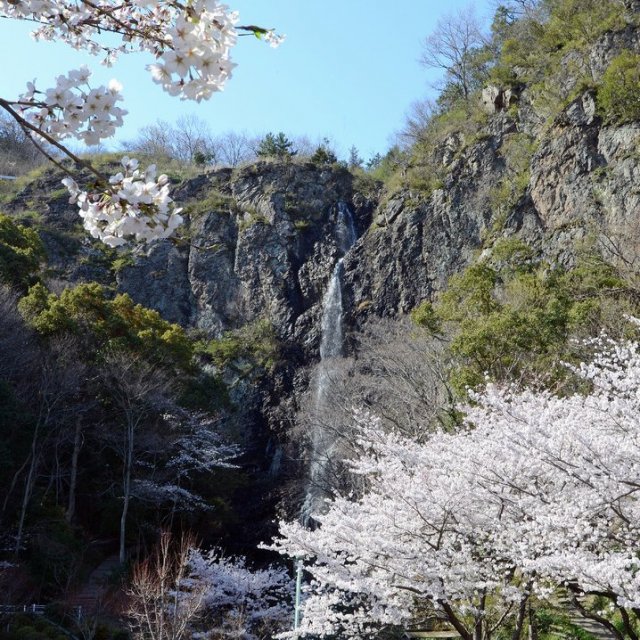 不動の滝
