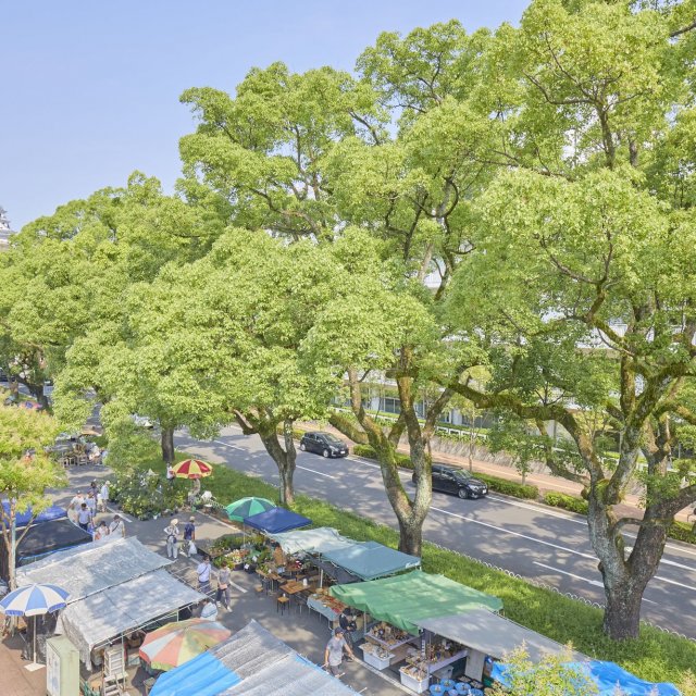 Marché du dimanche