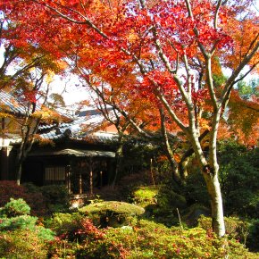 瑞巌寺の紅葉