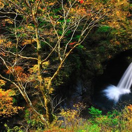 大釜の滝周辺の紅葉