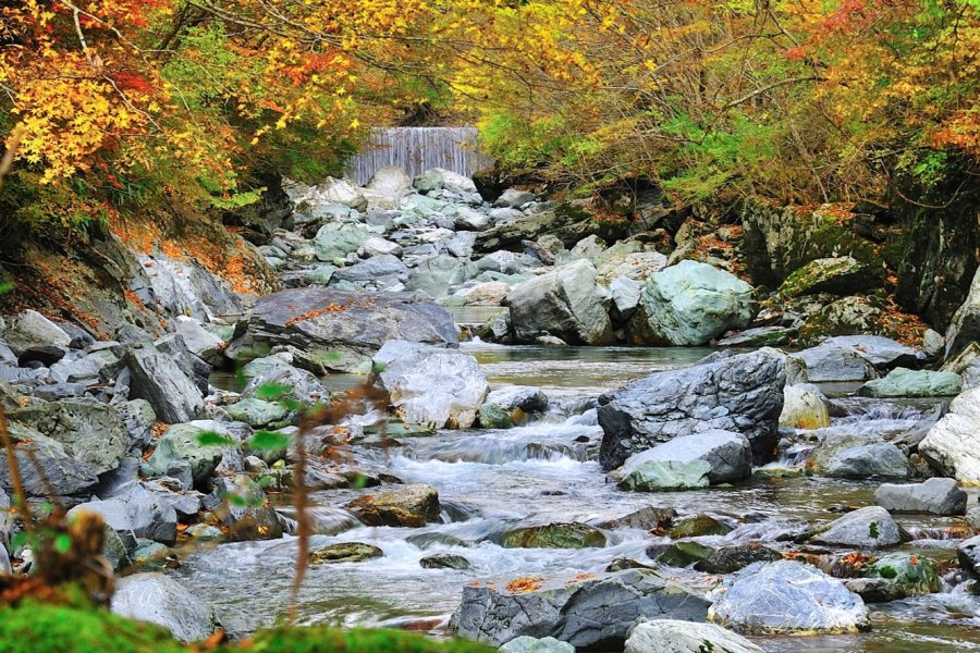 奥祖谷二重かずら橋の紅葉 スポット 体験 四国のおすすめ観光 旅行情報 公式 ツーリズム四国